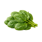 ES: Ácido fólico (Vitamina B9) | EN: Folic Acid (Vitamin B9) | PT: Ácido fólico (Vitamina B9) | IT: Acido folico (Vitamina B9) | DE: Folsäure (Vitamin B9) | NL: Foliumzuur (Vitamine B9)
