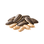 ES: Vitamina B1 | EN: Vitamin B1 | PT: Vitamina B1 | DE: Vitamin B1 | IT: Vitamina B1 | NL: Vitamine B1