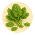 Folic Acid (Vitamin B9)